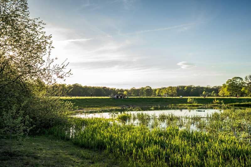 Walk & Talk: Rosental