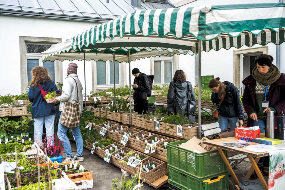 Der Winter blüht! Orchideenschau Botanischer Garten