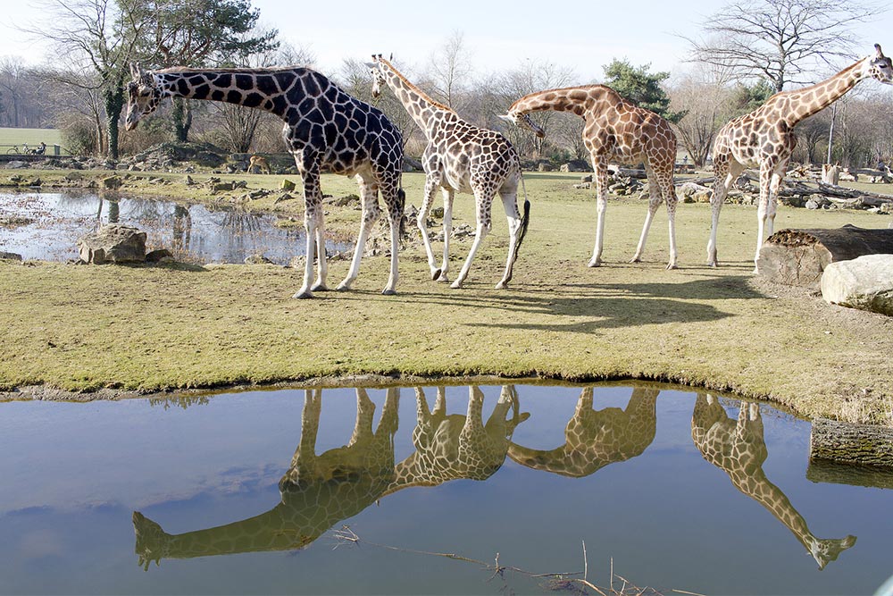 Himmelfahrtsaktionen im Zoo Leipzig
