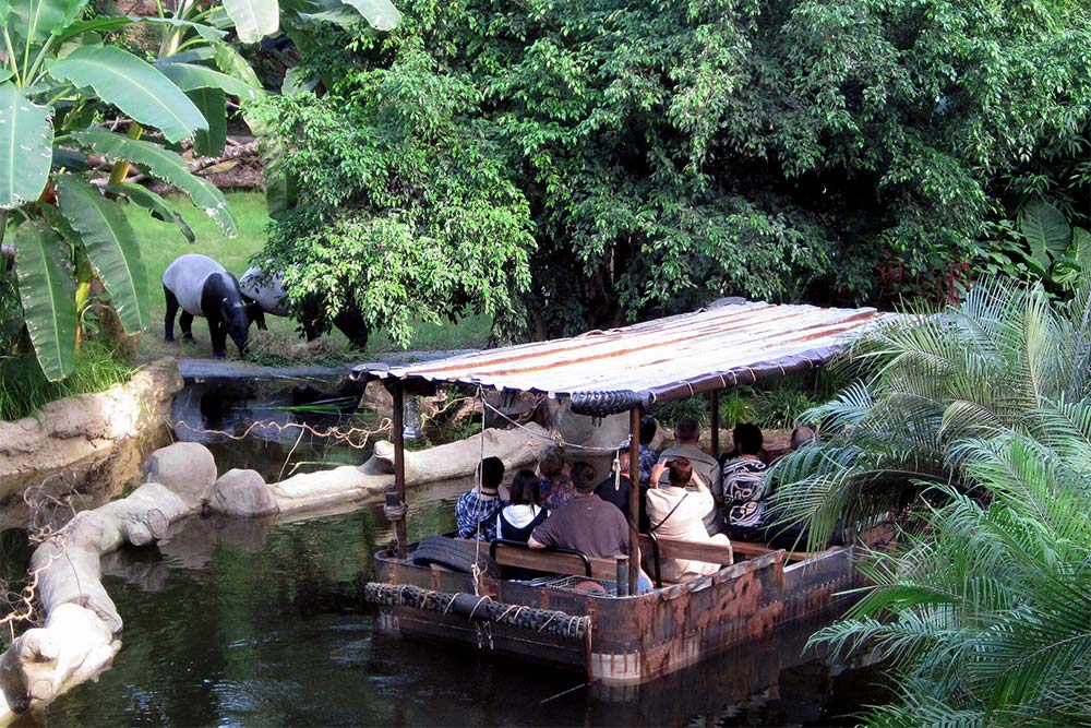 Festa do Brasil: Zoo