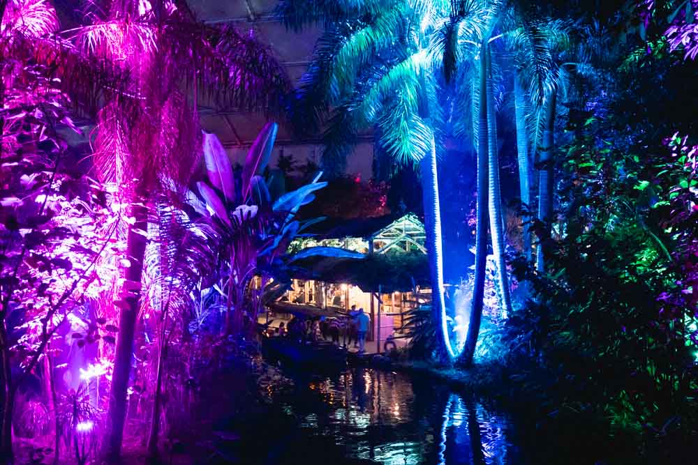 Magisches Tropenleuchten: Zoo