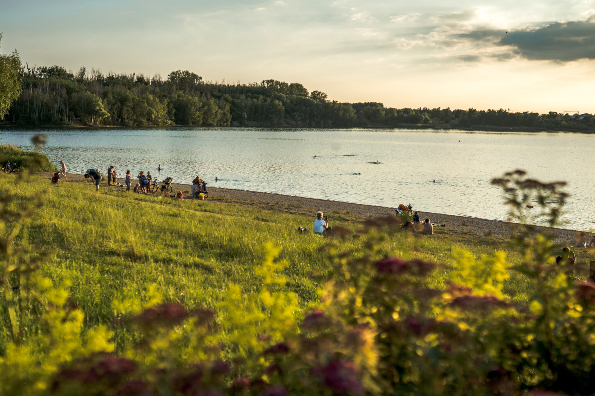Cospudener See - Strand liegen, baden, Bootfahrten oder Pier 1