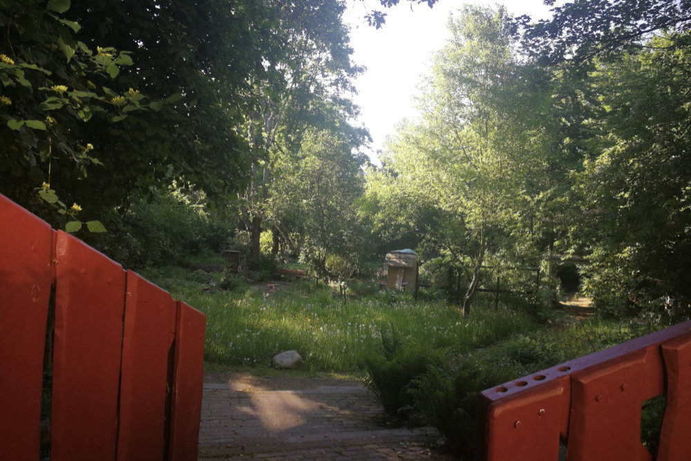 Verschenke- und Tauschmarkt für Saatgut und Pflanzen: Stadtgarten Connewitz