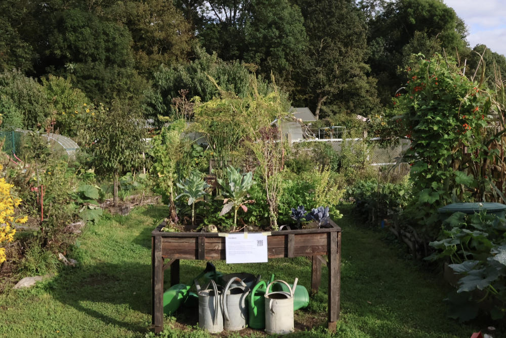 Festival Gutes Leben │ Urban Garden - Gärtnern und austauschen: Open Lab Thekla der KINDERVEREINIGUNG Leipzig