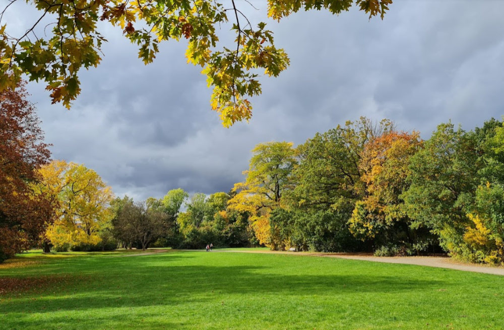 Discofoot Open Air – Schönauer Park
