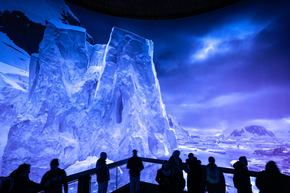 Animal Love Stories: Tierisches Liebesleben in der Antarktis Panometer