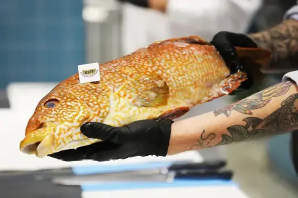 Fischfiletierkurs: Frischeparadies