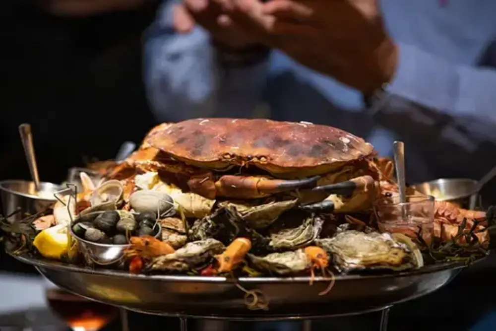 Meeresfrüchtesause: Frischeparadies