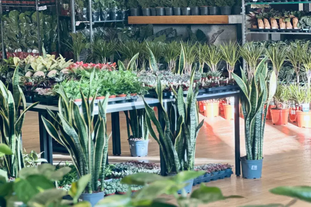 Pflanzenmarkt: Kupfersaal