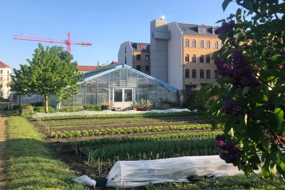 Pflanzenmarkt: Gärtnerei Scharf