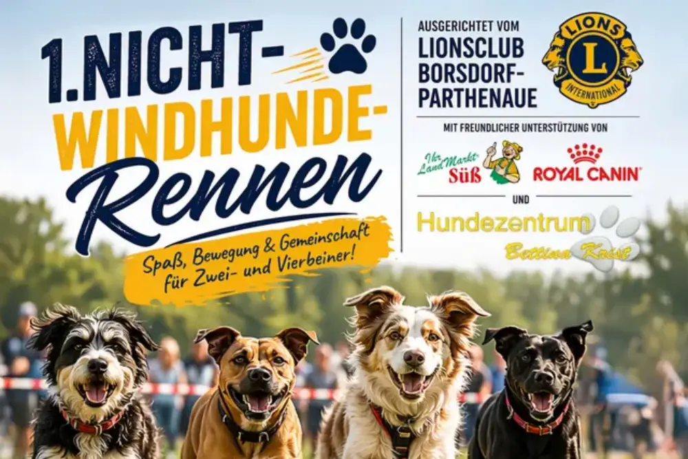 Nicht-Wind-Hunderennen: Trabrennbahn Panitzsch